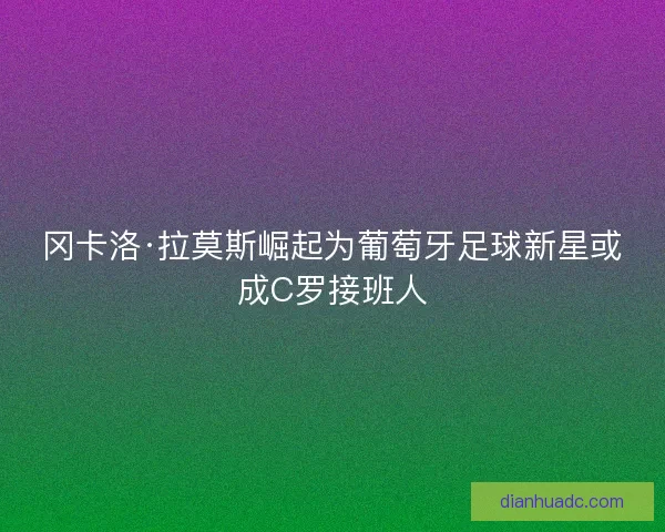 冈卡洛·拉莫斯崛起为葡萄牙足球新星或成C罗接班人